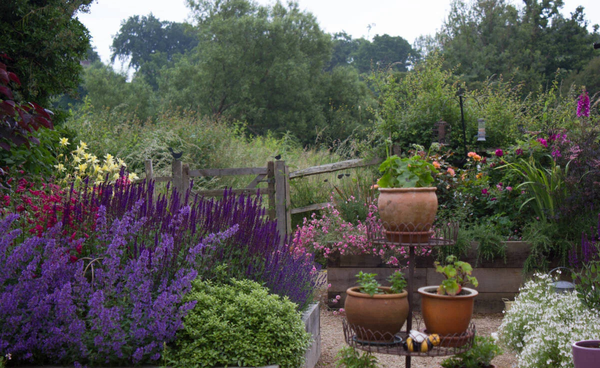 A Small Country Garden