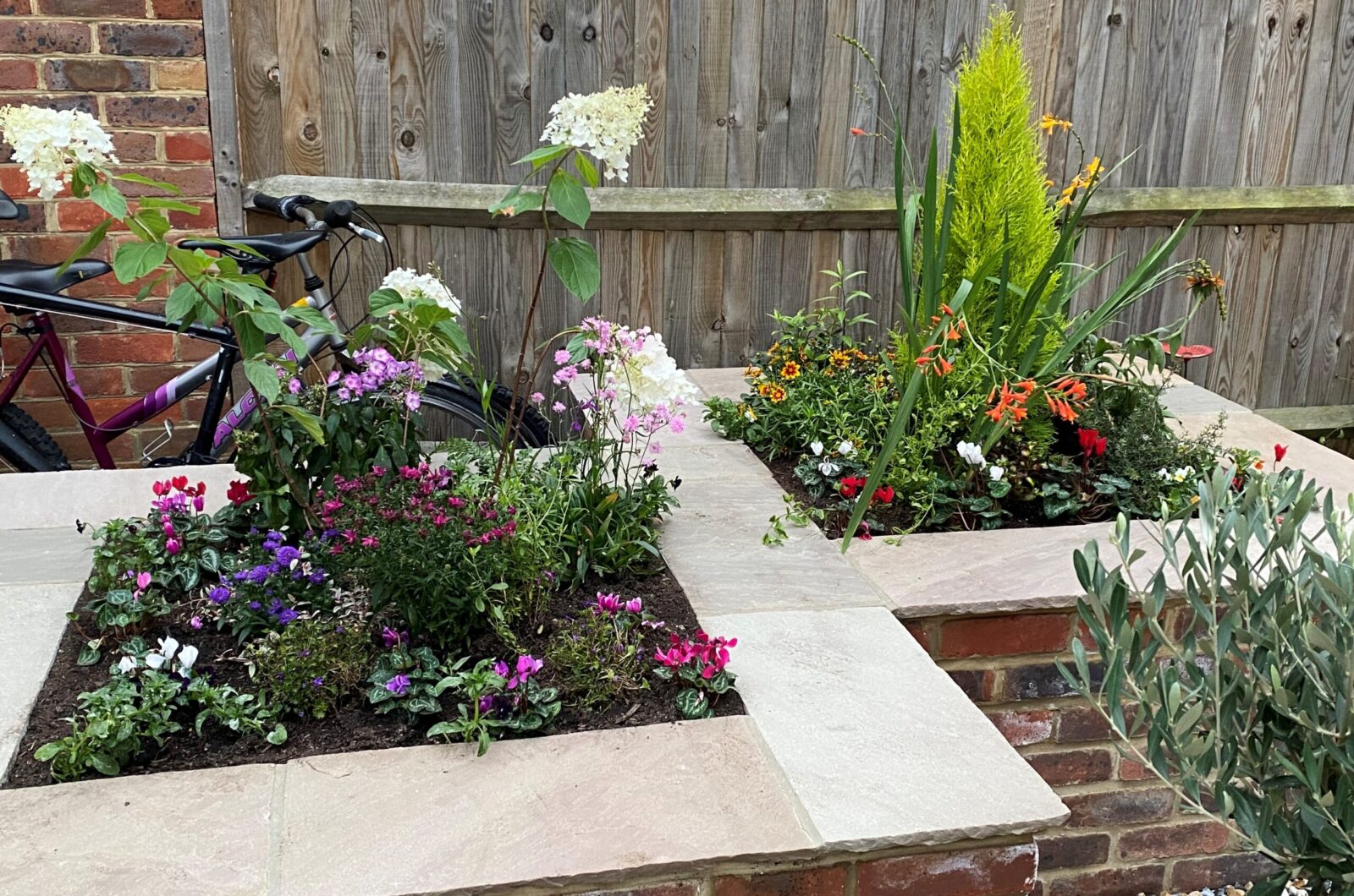 Small Garden Planting