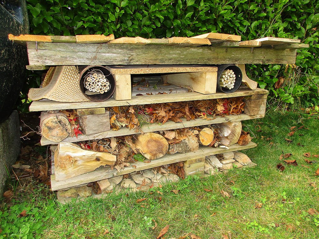 supporting garden wildlife in winter with a bug hotel