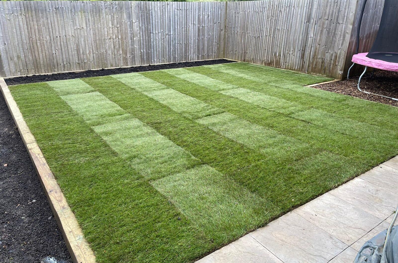 Small Garden Lawn Build