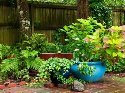 potted plants