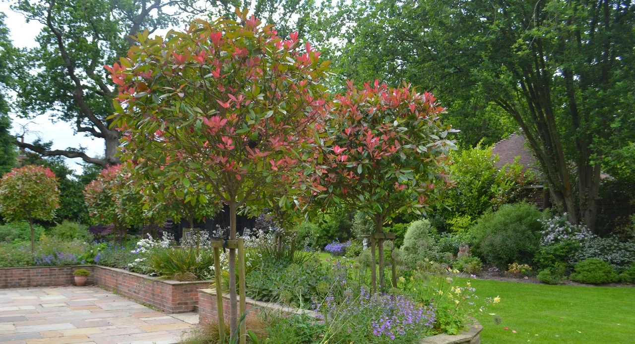 Sussex Country Garden