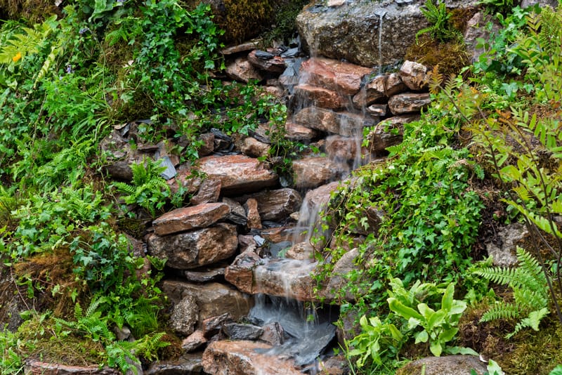 silver gilt medal winning garden