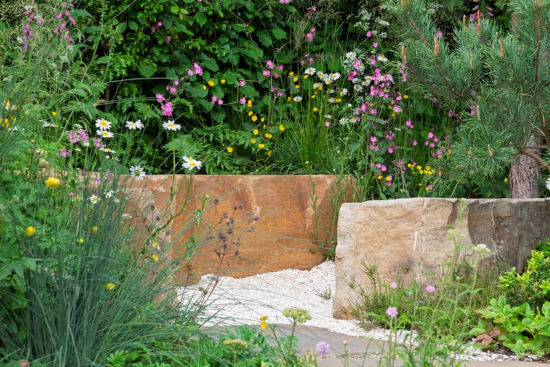 chelsea seawilding garden