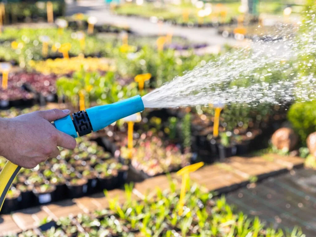commercial watering during a hosepipe ban