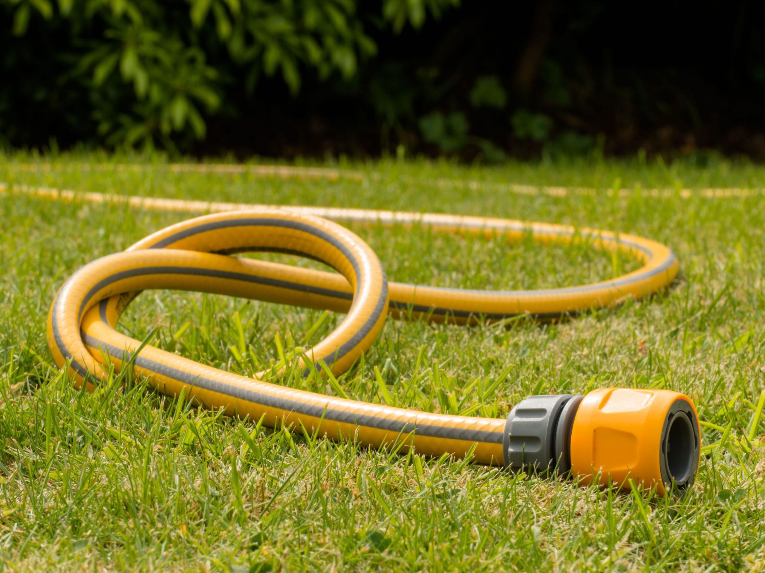 looking after your garden during a hosepipe ban