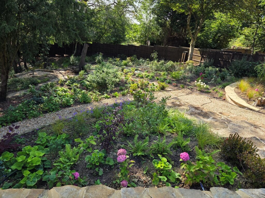 landscaping process