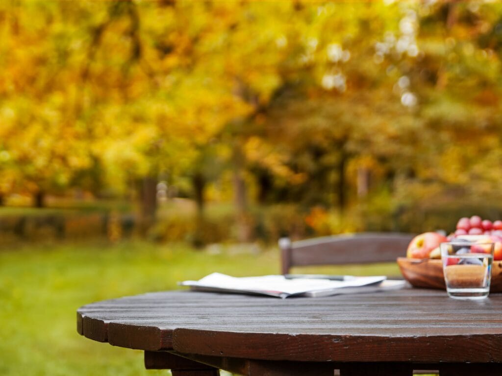 garden designing in autumn