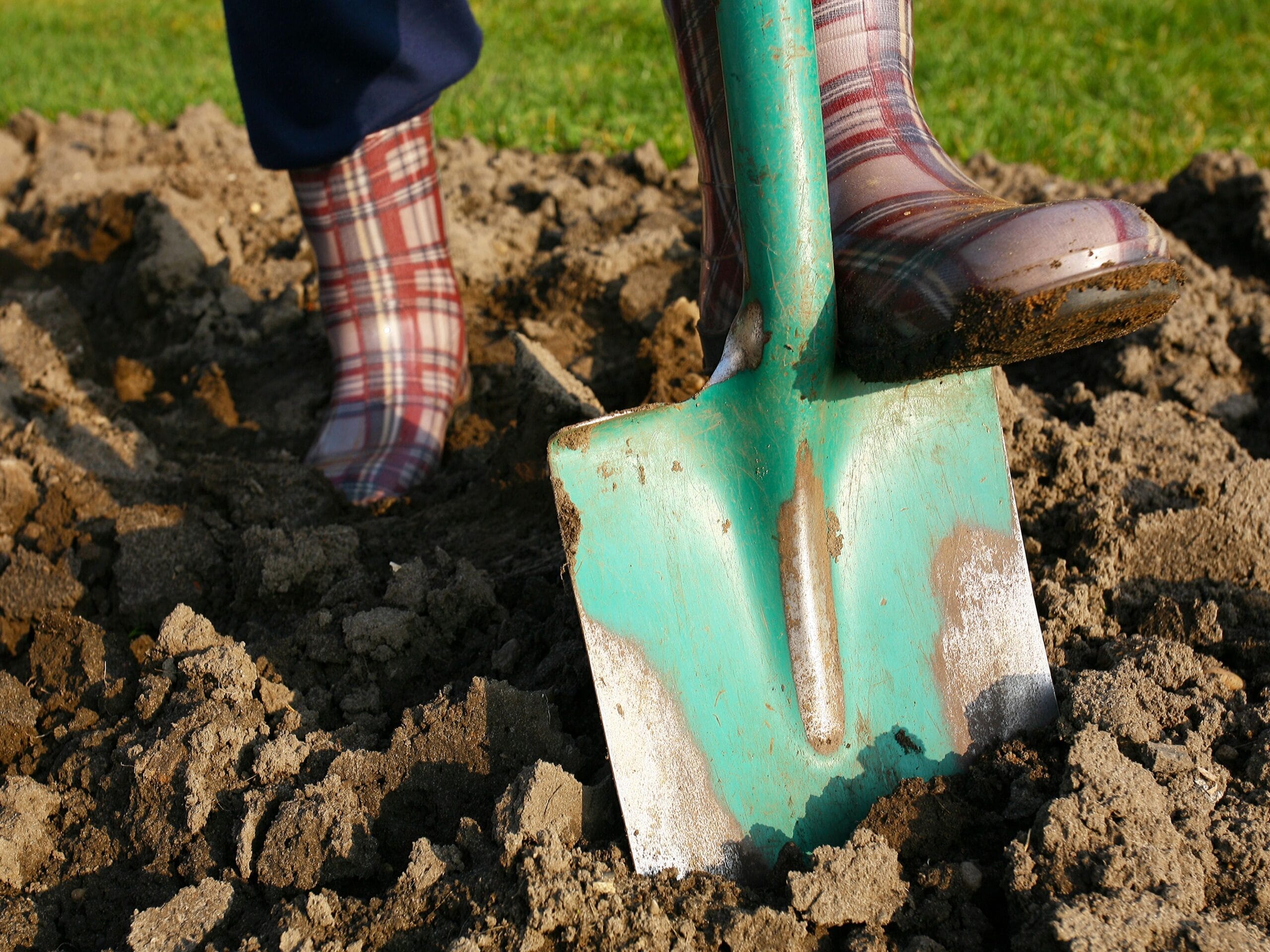 autumn gardening