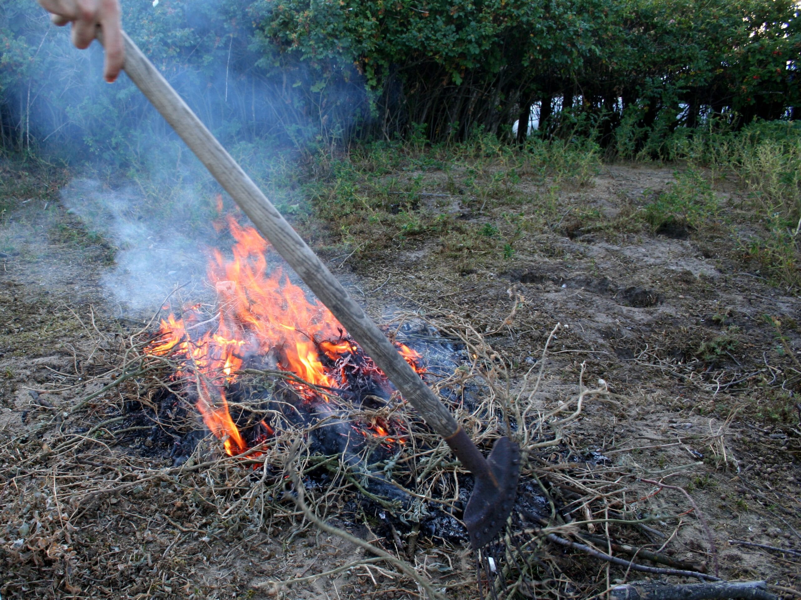 wildlife conscious bonfire