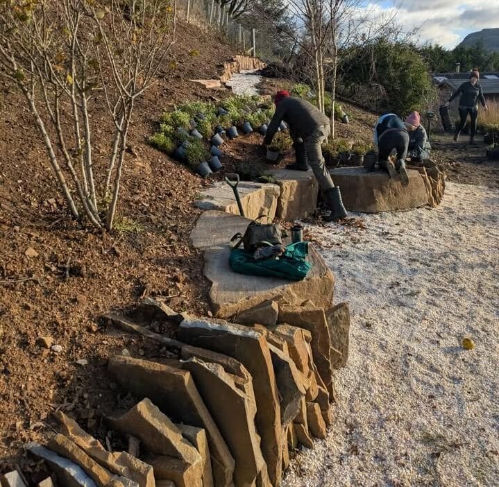 seawilding relocation