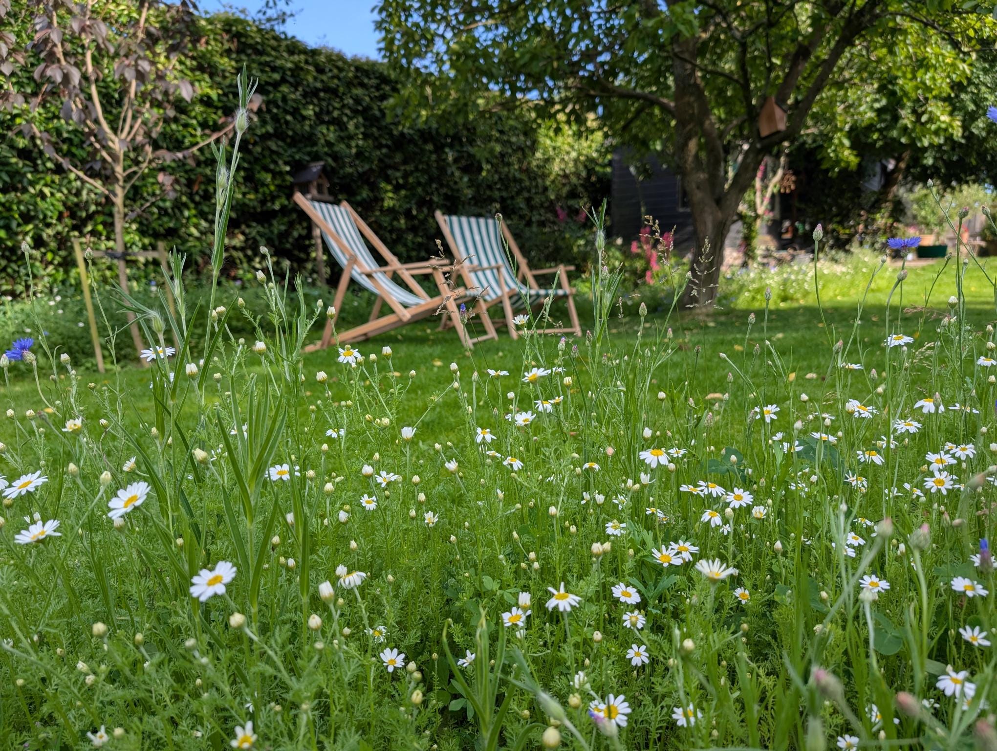 Time is ticking to Start Planning Your Summer Garden Build