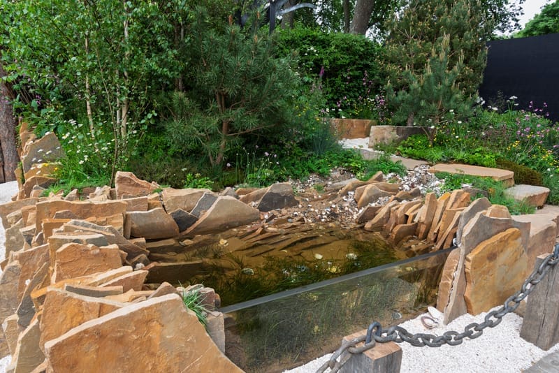 An image of The Seawilding Garden built by Frogheath Landscapes in 2025.