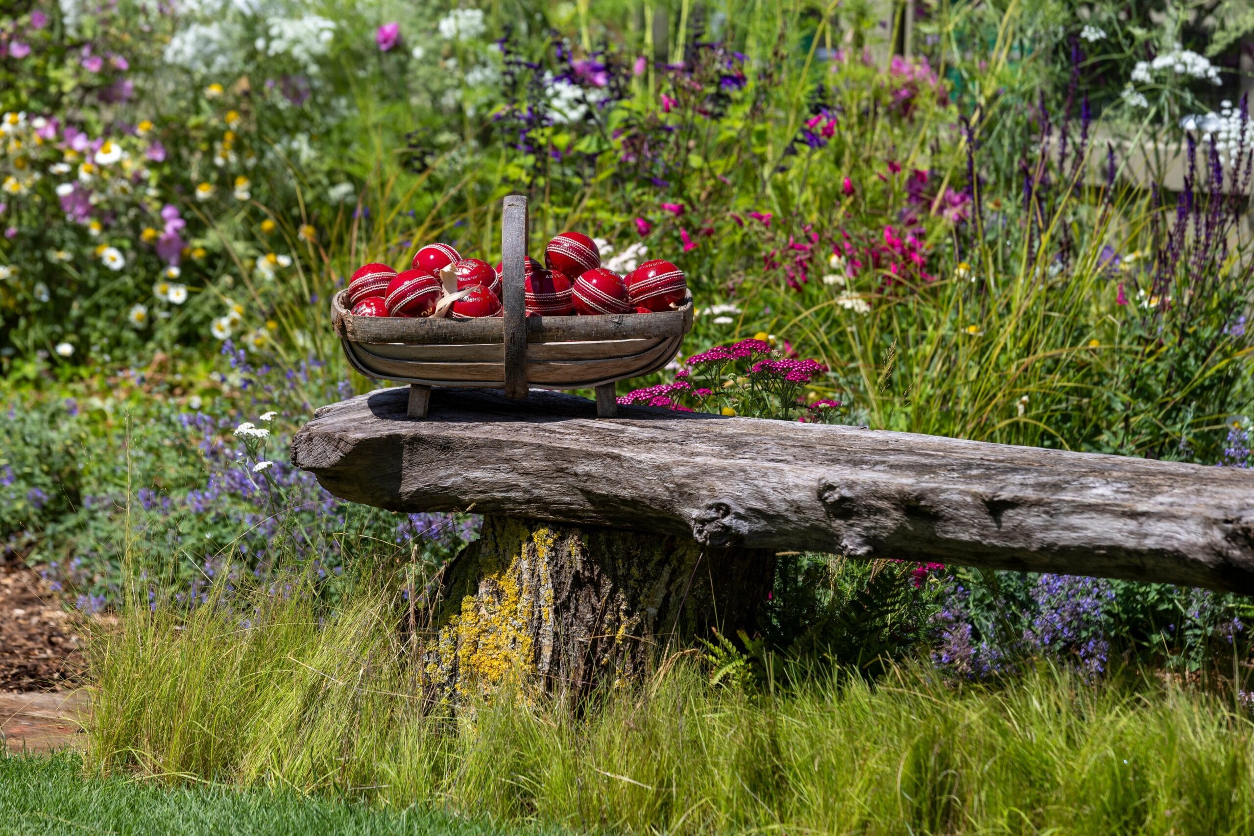A basket of cricket balls at the RHS Badminton Flower Show Cricket Pavilion Garden